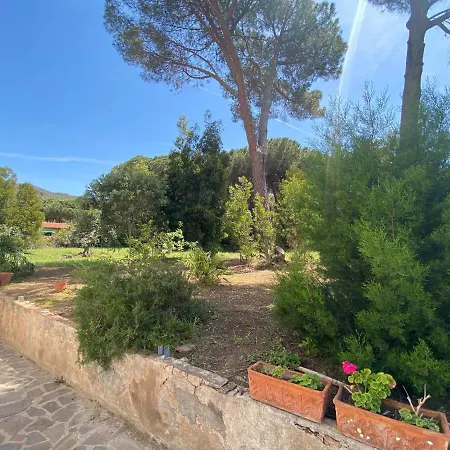 Sant'antonio Con Ampio Giardino A Due Passi Dal Mare Bagnaia (Livorno)