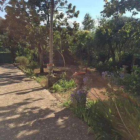 Sant'antonio Con Ampio Giardino A Due Passi Dal Mare Bagnaia (Livorno)