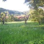 Sant'antonio Con Ampio Giardino A Due Passi Dal Mare Willa Bagnaia (Livorno)