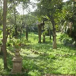 Sant'antonio Con Ampio Giardino A Due Passi Dal Mare Bagnaia (Livorno)