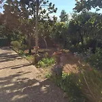 Sant'antonio Con Ampio Giardino A Due Passi Dal Mare Bagnaia (Livorno)