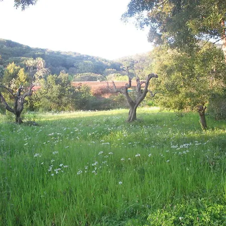 Con Ampio Giardino A Due Passi Dal Mare Villa Sant'Anna (Isola d'Elba)