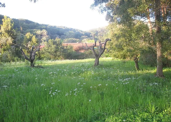 Sant'antonio Con Ampio Giardino A Due Passi Dal Mare Villa Bagnaia (Livorno)