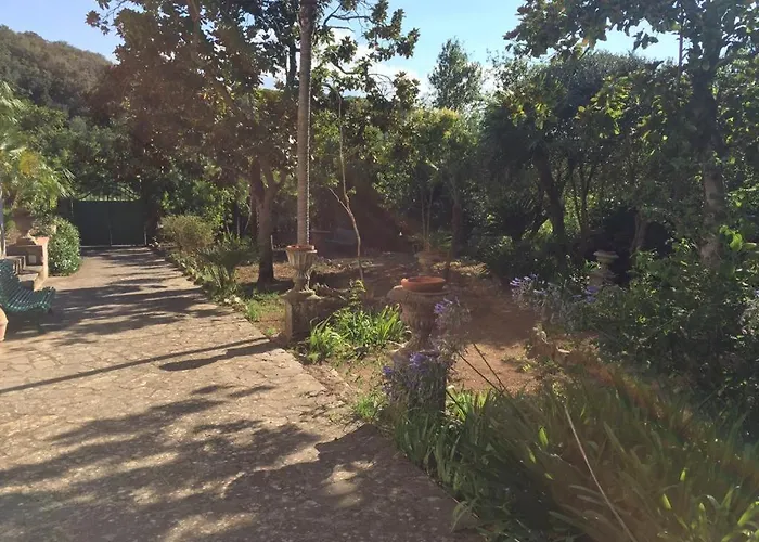 Sant'antonio Con Ampio Giardino A Due Passi Dal Mare Bagnaia (Livorno)